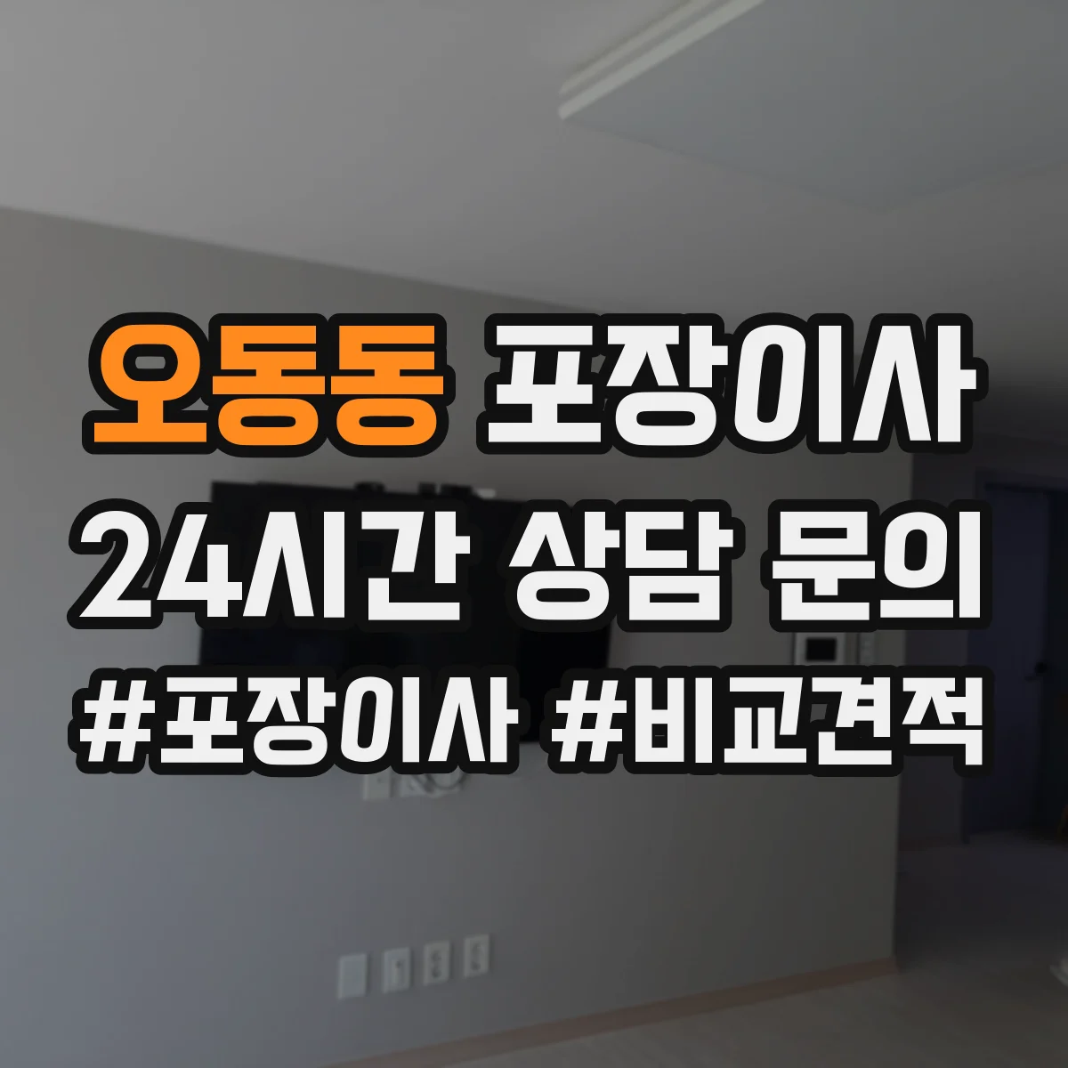 오동동 포장이사