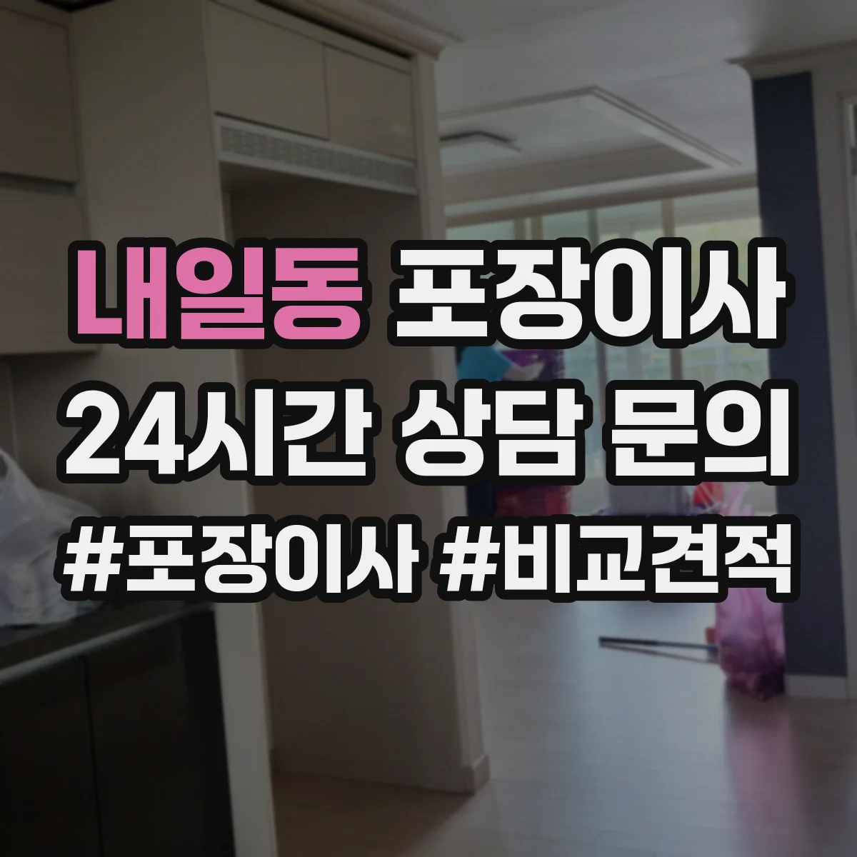 내일동 포장이사