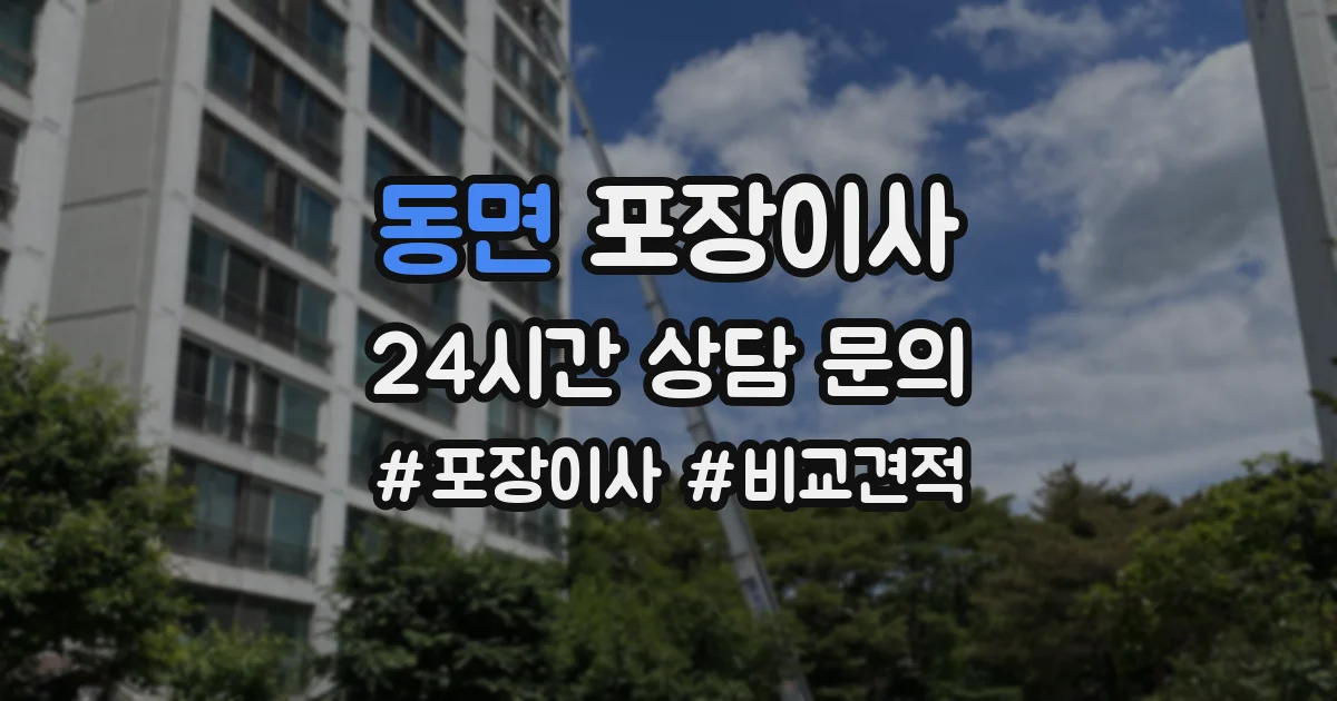 동면 포장이사