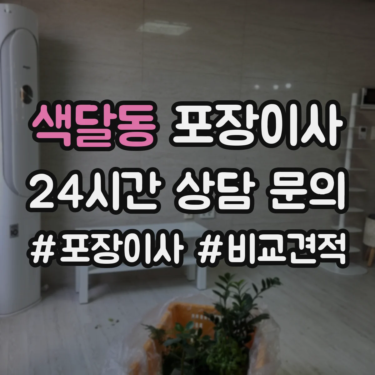 색달동 포장이사