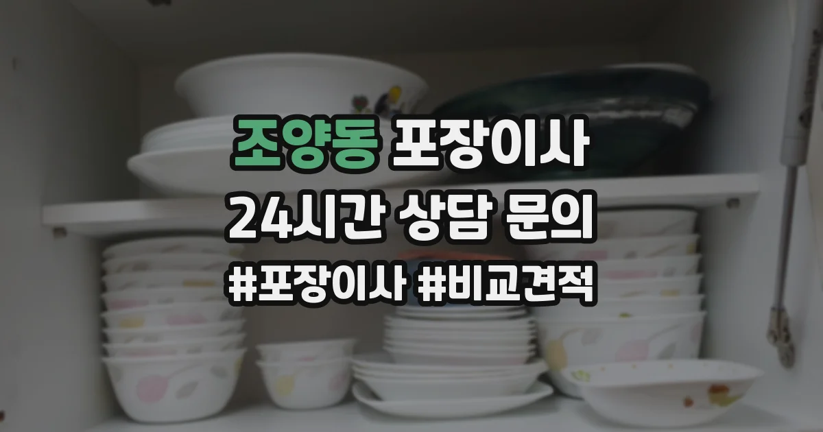 조양동 포장이사