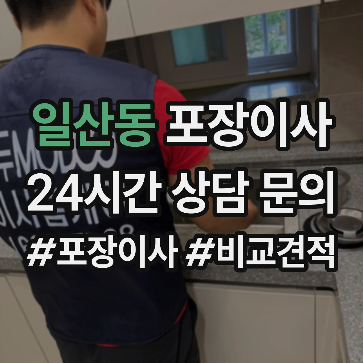 일산동 포장이사