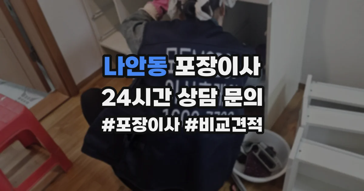 나안동 포장이사