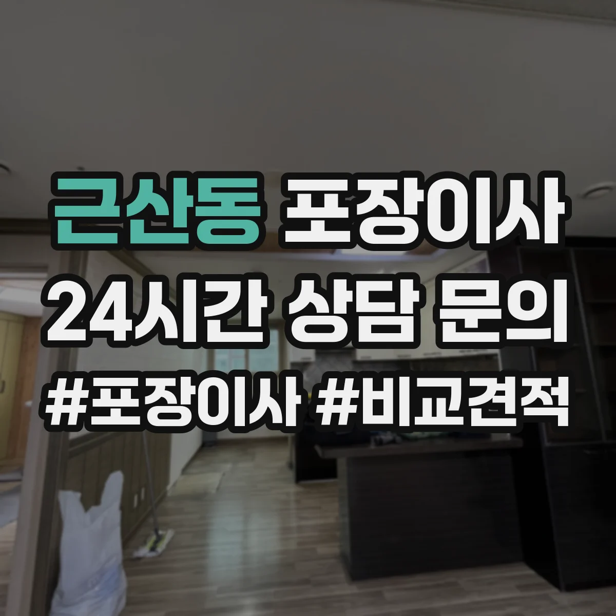 근산동 포장이사