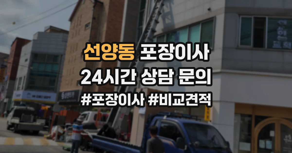 선양동 포장이사