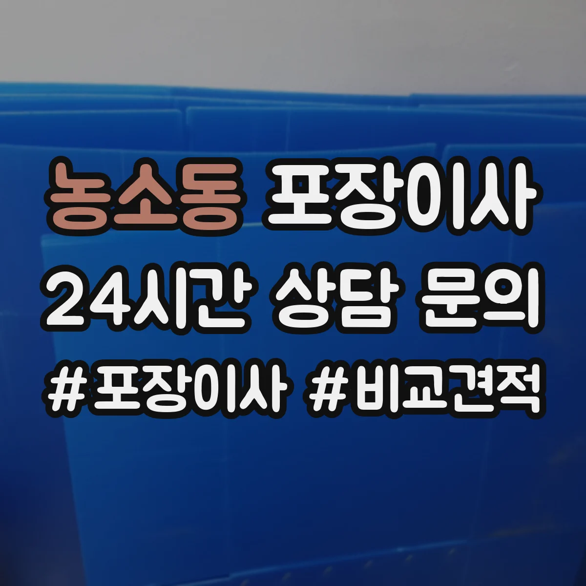 농소동 포장이사