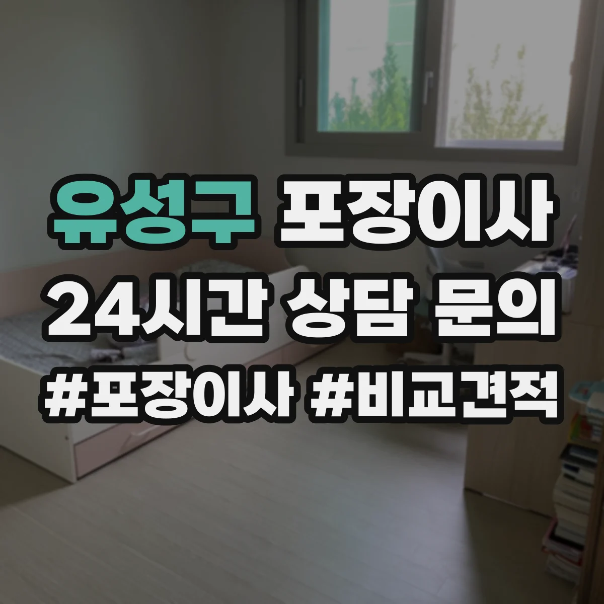 유성구 포장이사