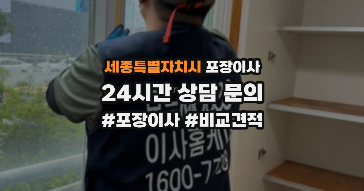 세종특별자치시 포장이사