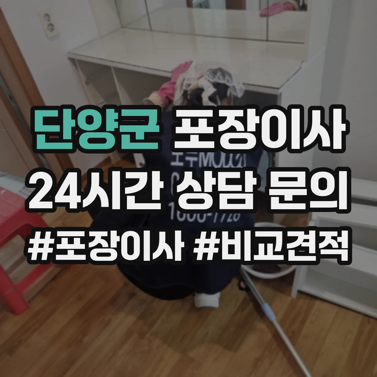 단양군 포장이사