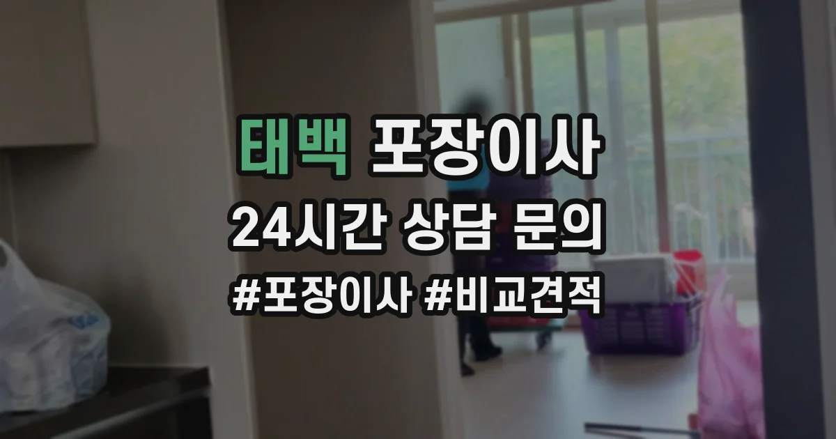태백 포장이사