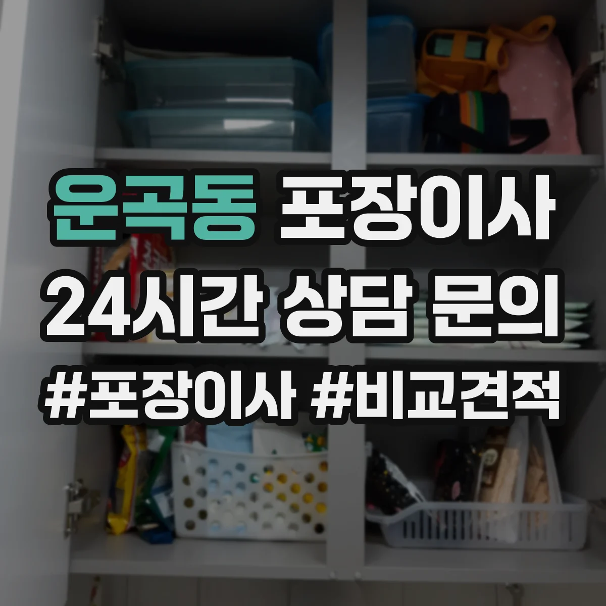 운곡동 포장이사