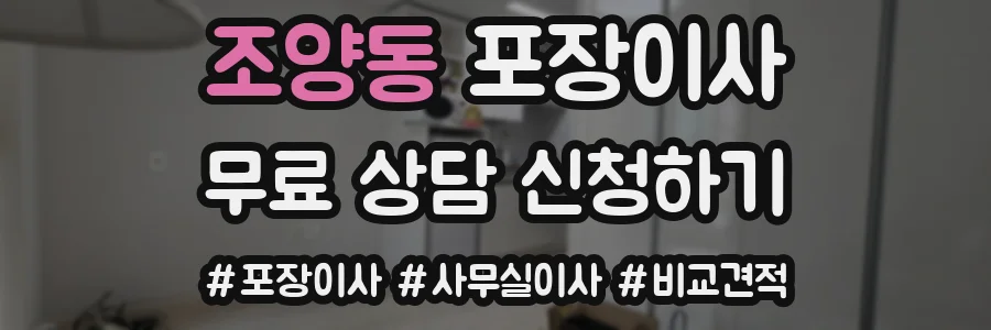 조양동 포장이사