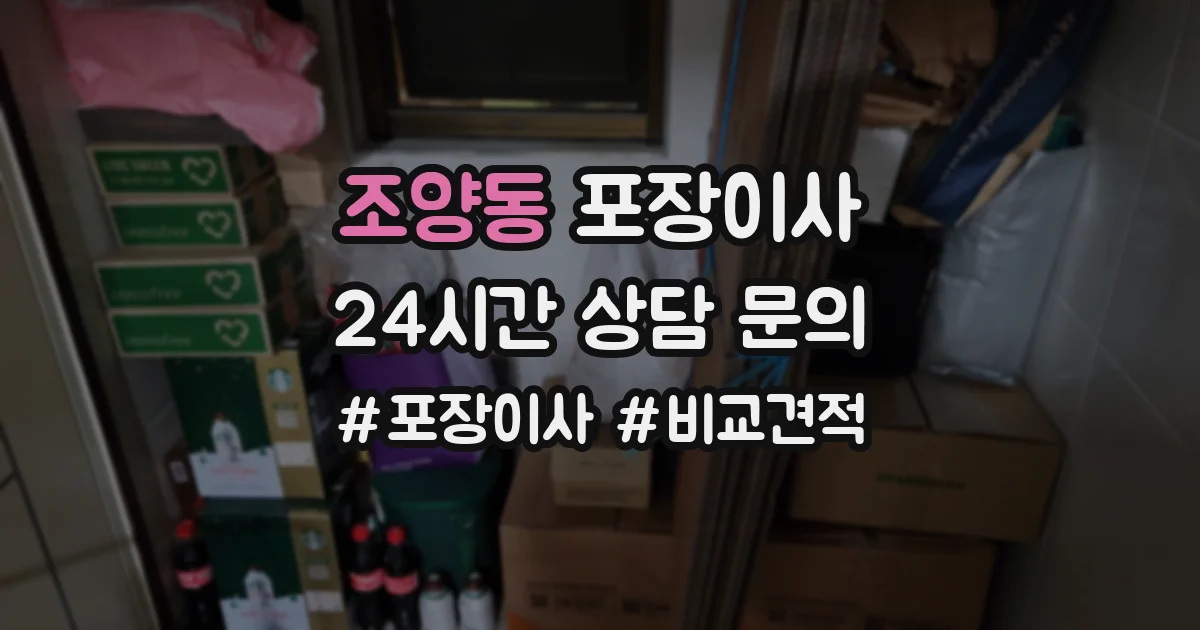 조양동 포장이사