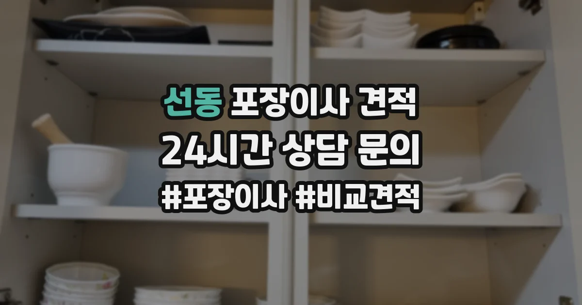 선동 포장이사 견적