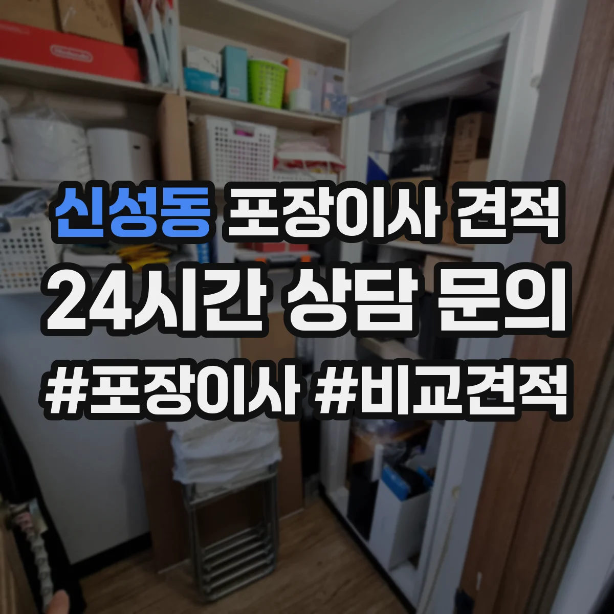 신성동 포장이사 견적