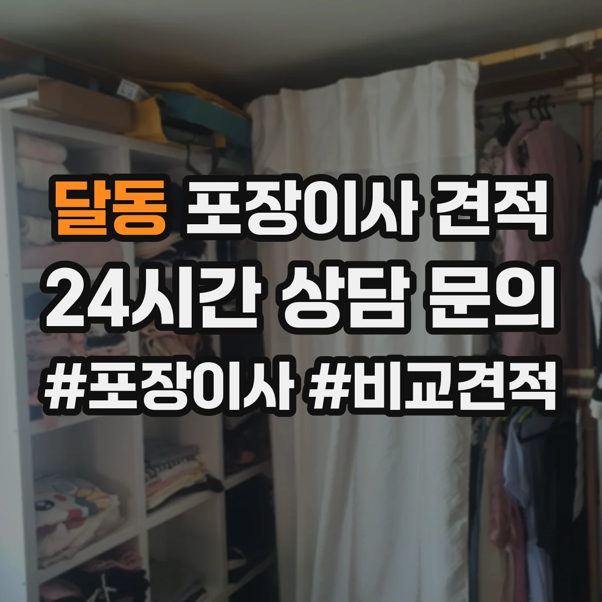 달동 포장이사 견적