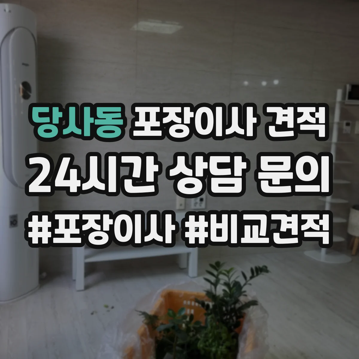 당사동 포장이사 견적