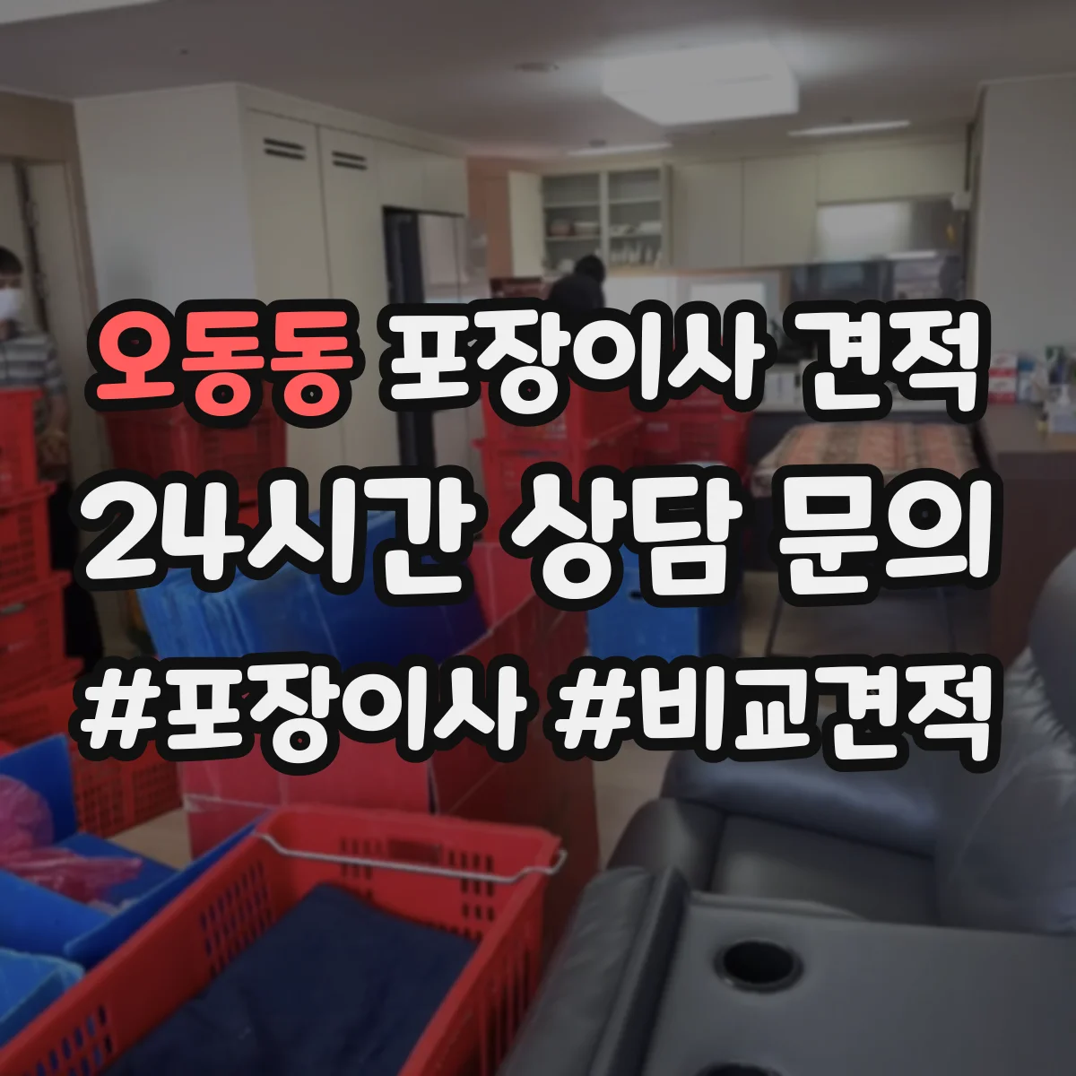 오동동 포장이사 견적