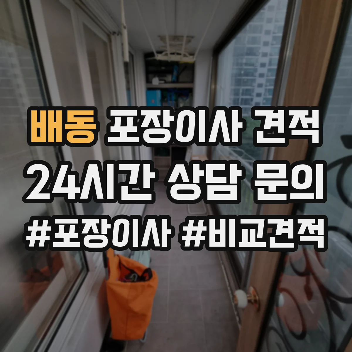 배동 포장이사 견적