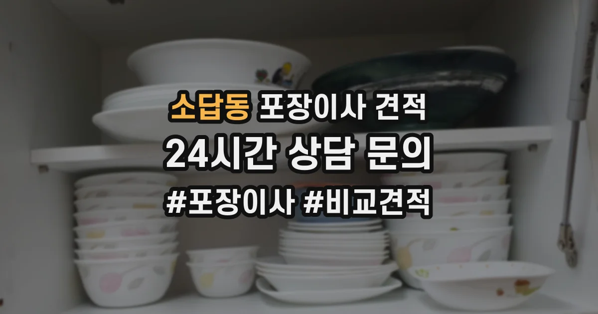 소답동 포장이사 견적