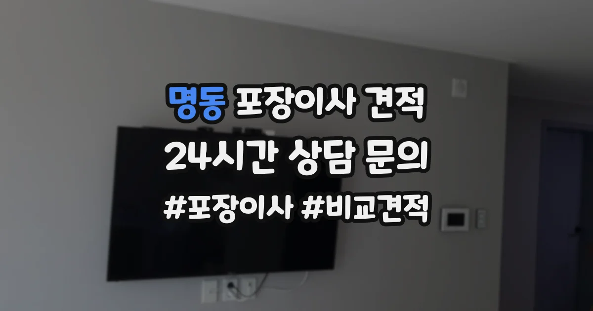 명동 포장이사 견적