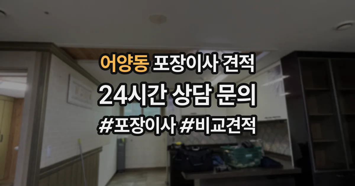 어양동 포장이사 견적