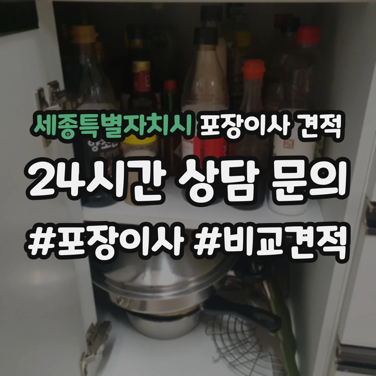 세종특별자치시 포장이사 견적