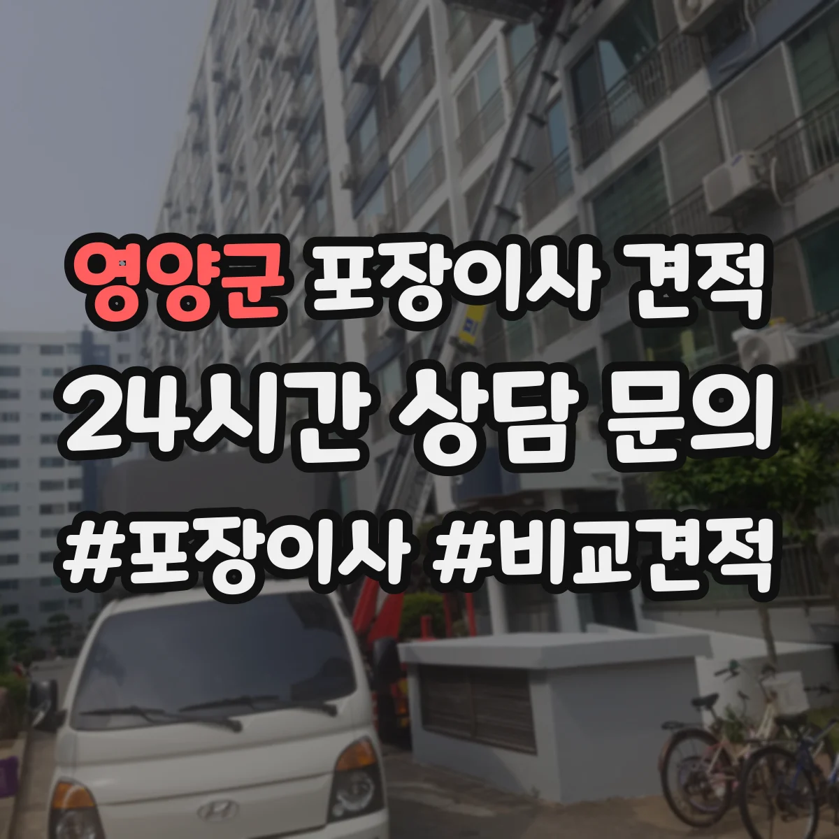 영양군 포장이사 견적 원룸 계약 전 비용 구성 항목 확인하기