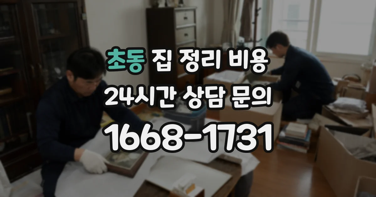 초동 집 정리 비용