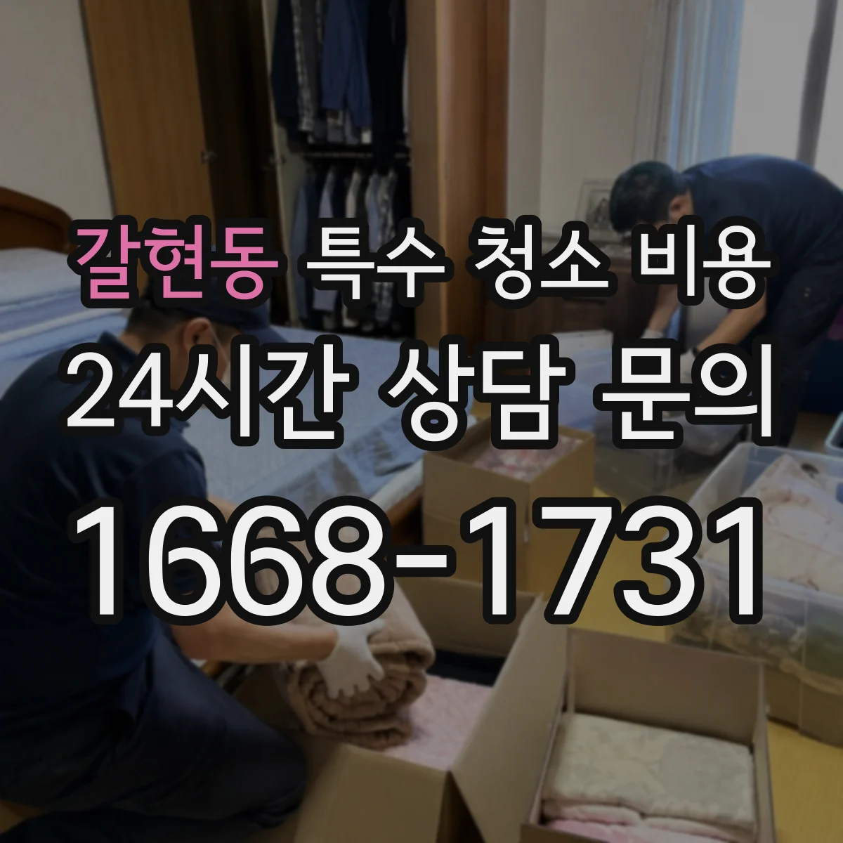 갈현동 특수 청소 비용