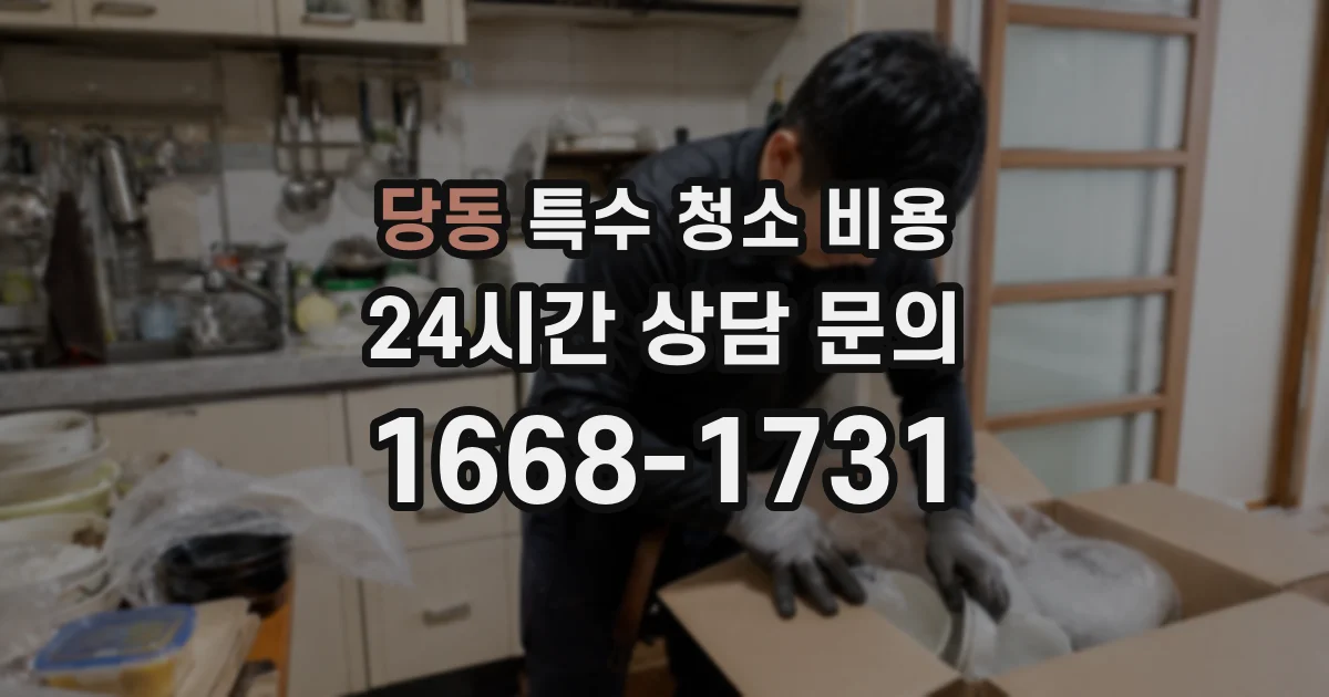 당동 특수 청소 비용