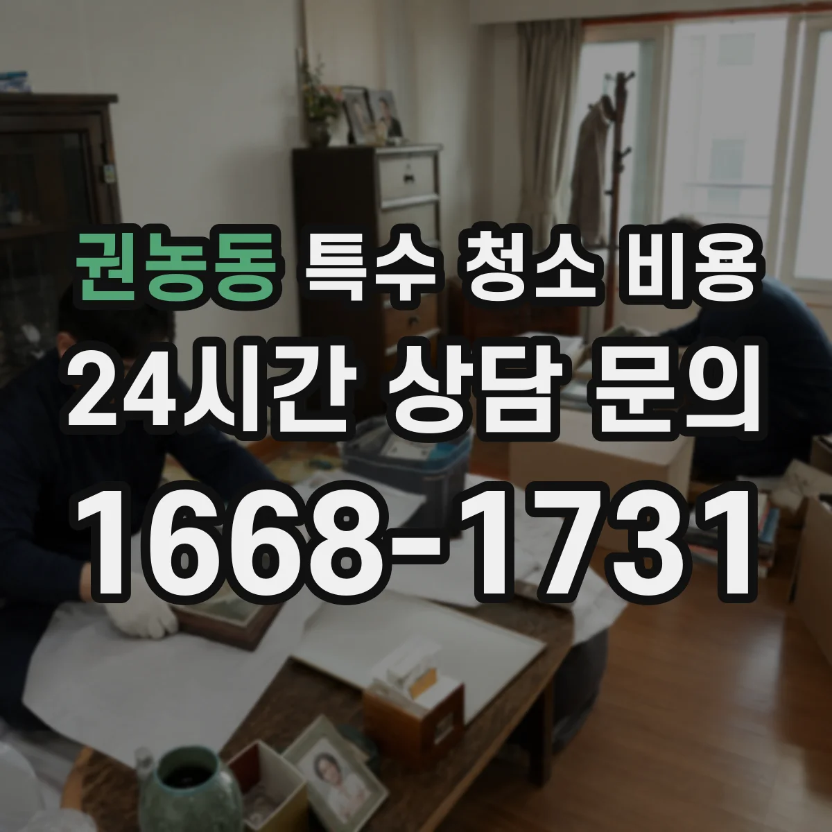 권농동 특수 청소 비용
