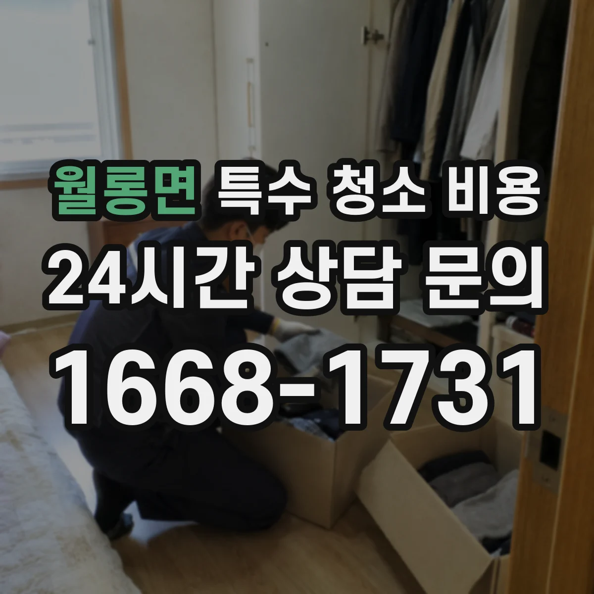 월롱면 특수 청소 비용