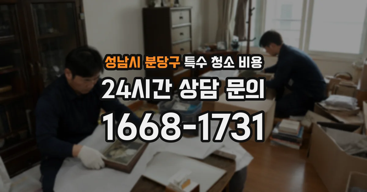 성남시 분당구 특수 청소 비용