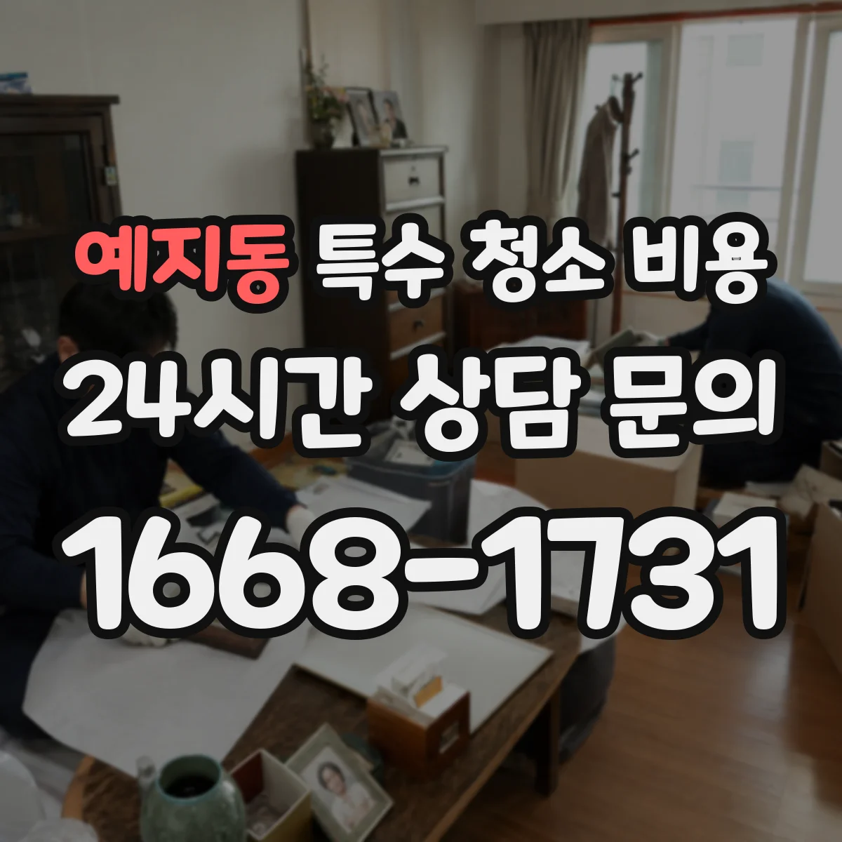 예지동 특수 청소 비용