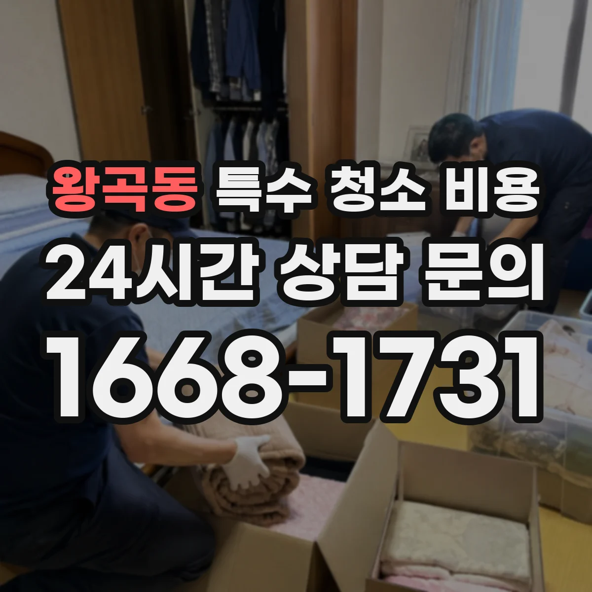 왕곡동 특수 청소 비용