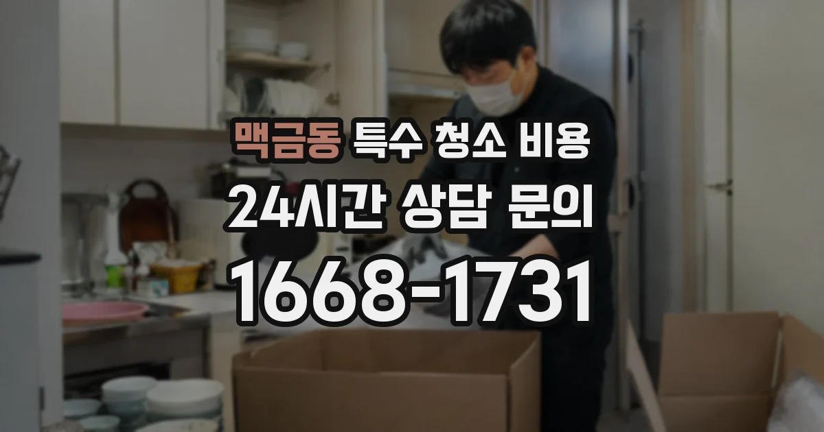 맥금동 특수 청소 비용