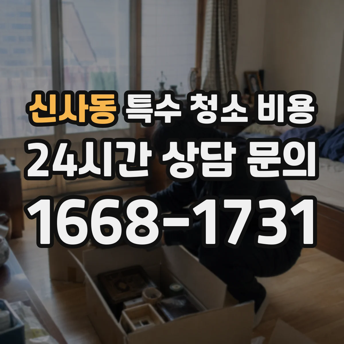 신사동 특수 청소 비용