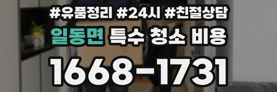 일동면 특수 청소 비용