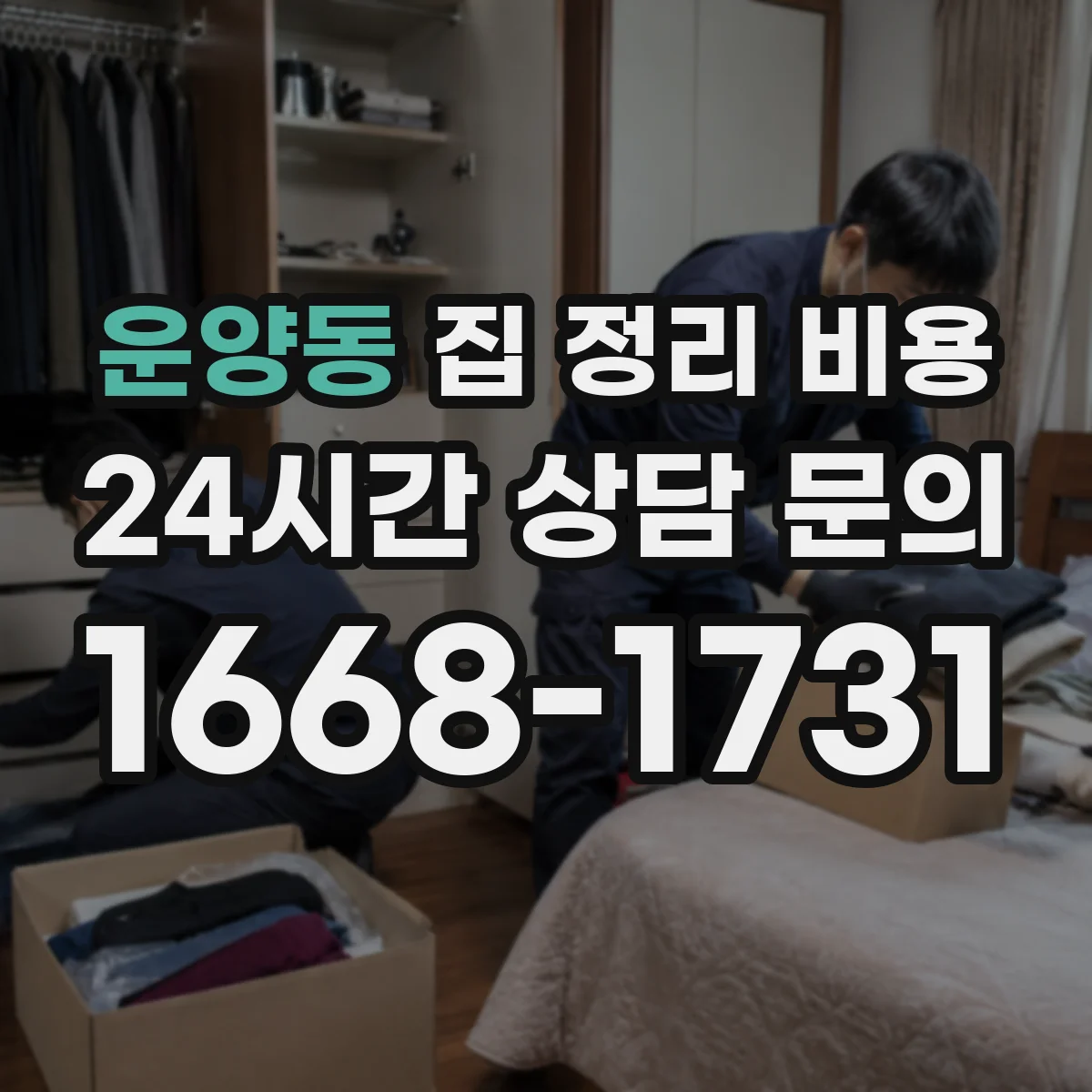 운양동 집 정리 비용
