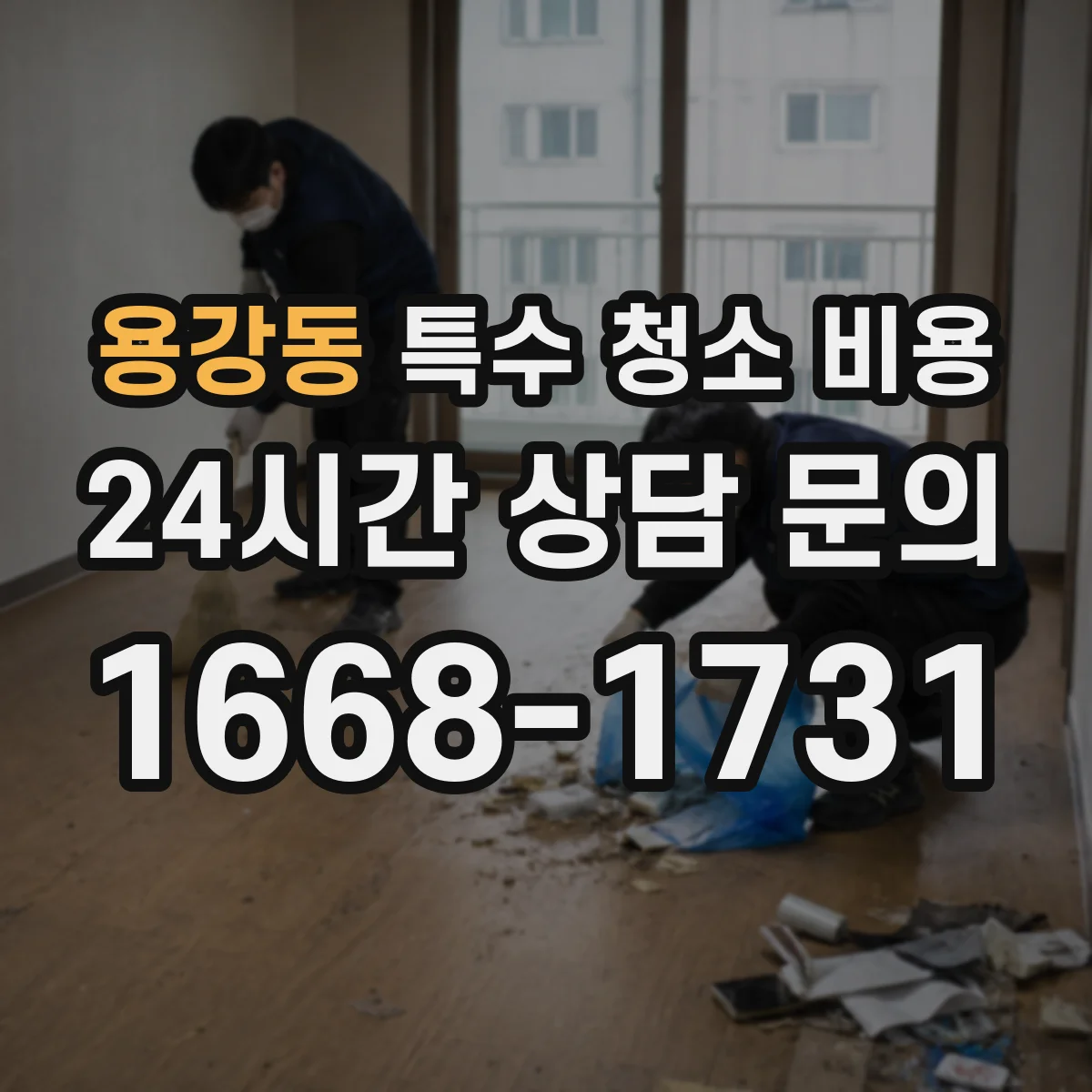 용강동 특수 청소 비용