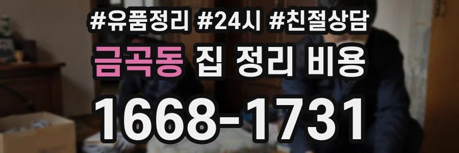 금곡동 집 정리 비용