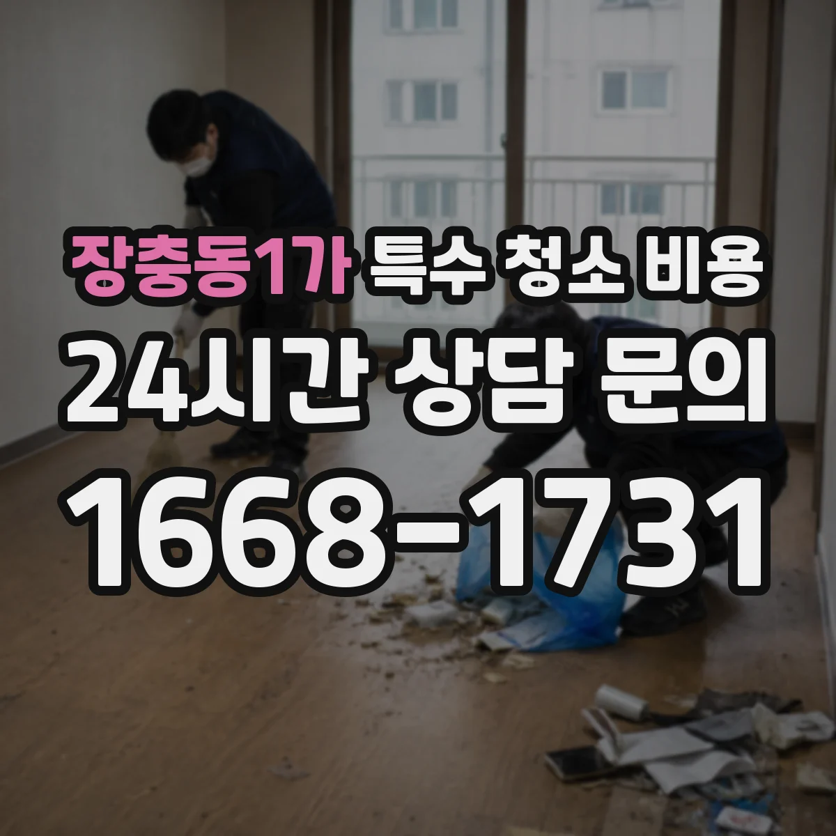 장충동1가 특수 청소 비용