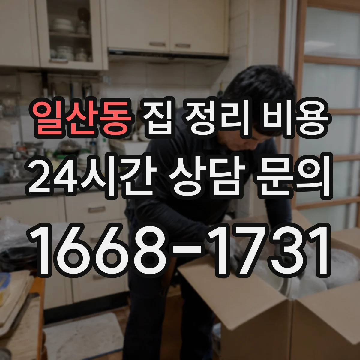 일산동 집 정리 비용