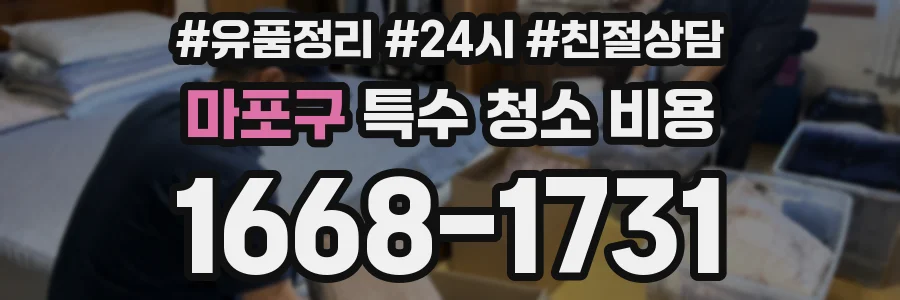 마포구 특수 청소 비용