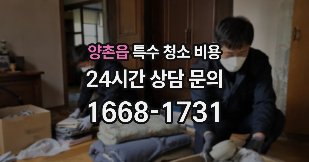 양촌읍 특수 청소 비용