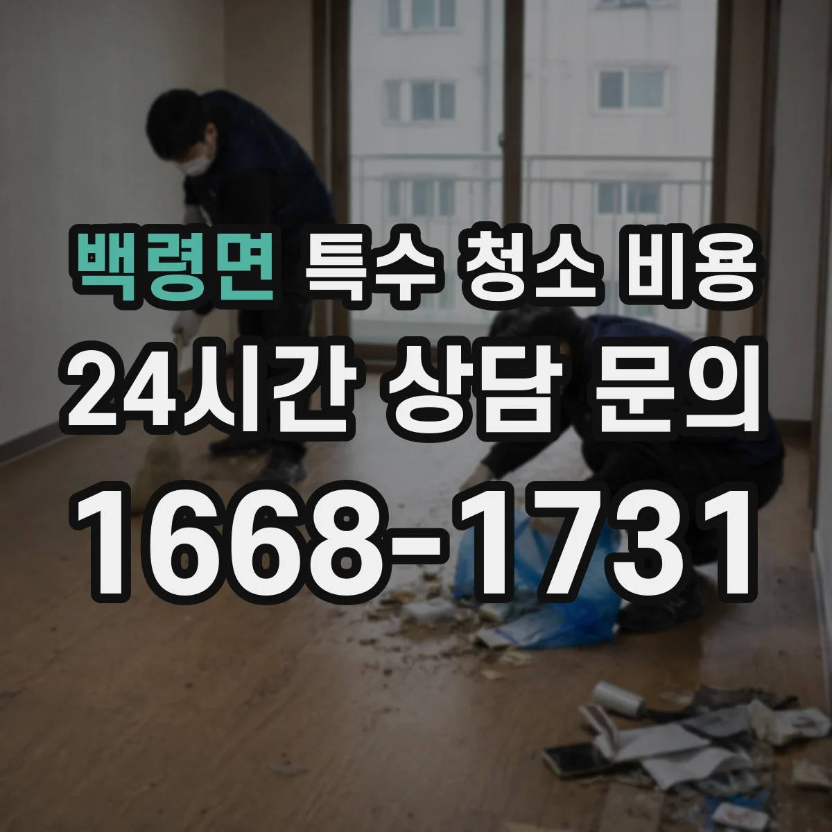 백령면 특수 청소 비용