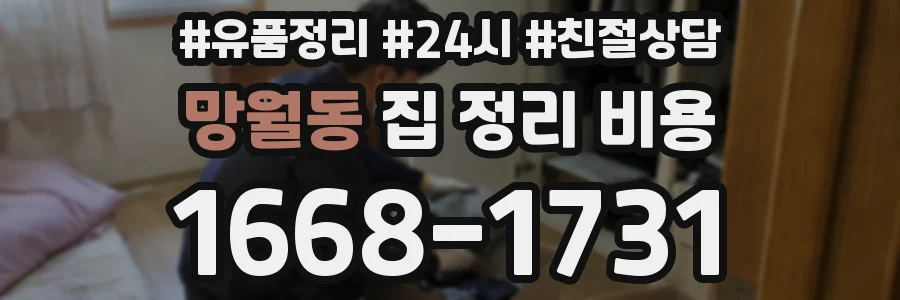 망월동 집 정리 비용