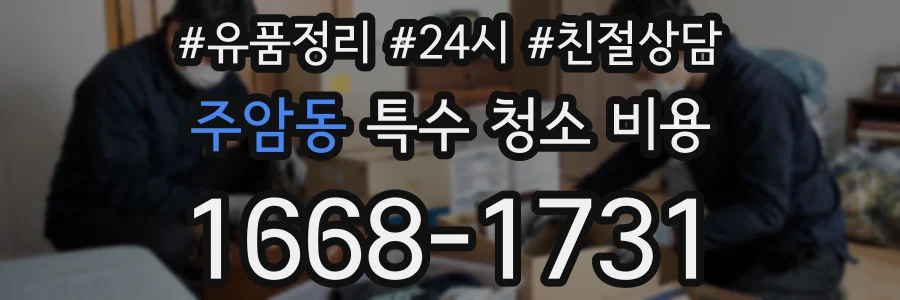주암동 특수 청소 비용