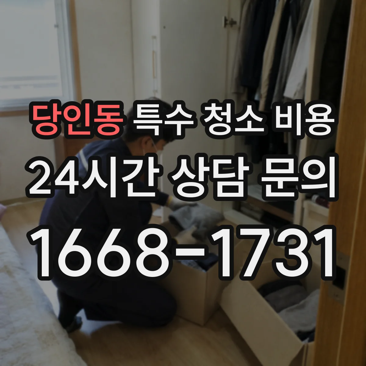 당인동 특수 청소 비용